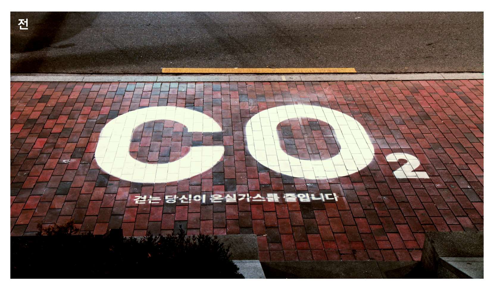 비포-1660x971.jpg